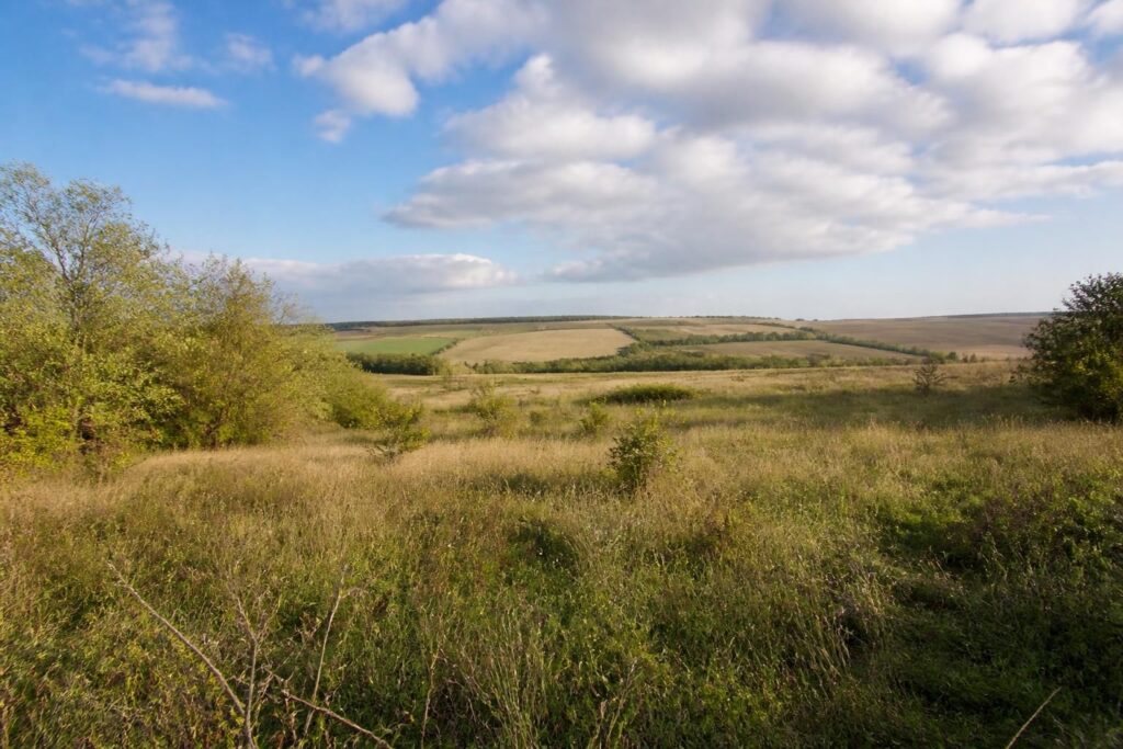 découvrez où trouver un terrain pas cher ou non constructible en marne et à proximité du département 77. opportunités immobilières pour tous vos projets.